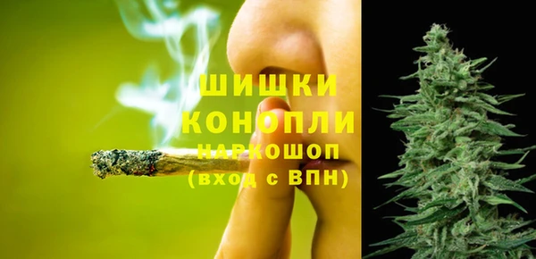 сатива Нягань
