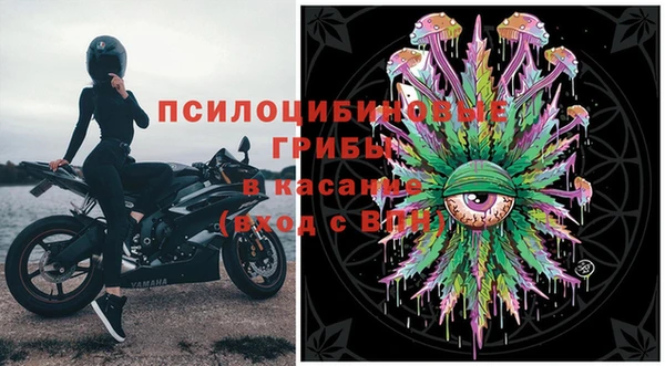 сатива Нягань