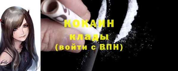 сатива Нягань