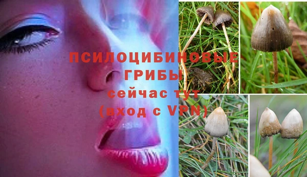 кокаин перу Нязепетровск
